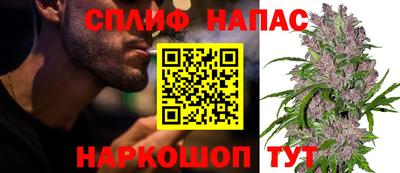 индика Берёзовский