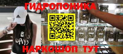 индика Берёзовский