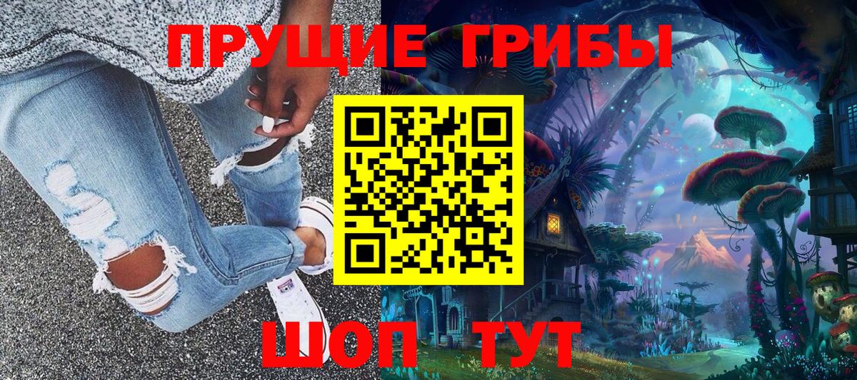 Псилоцибиновые грибы прущие грибы Кировск