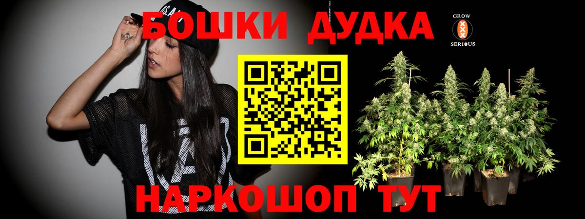 Канабис OG Kush  Вход с VPN  Кировск  Конопля план  Каннабис ГИДРОПОН 